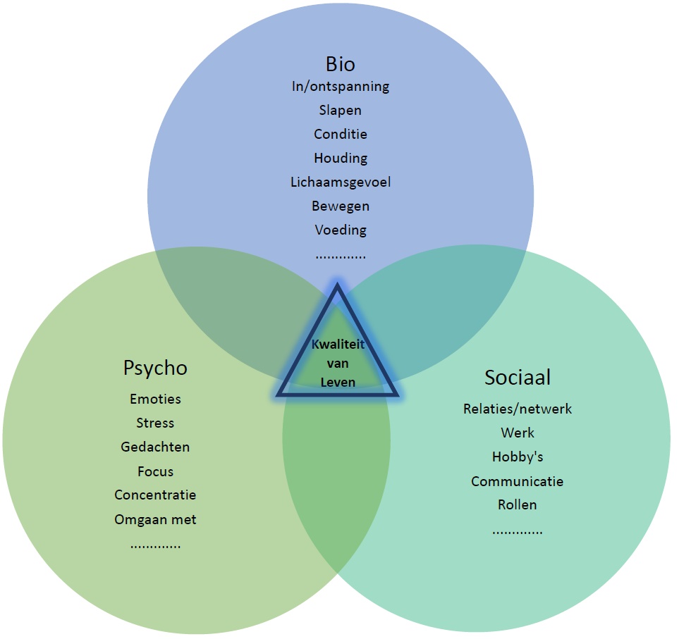 Biopsychosociaal Model Voorbeeld